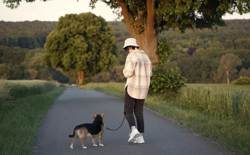 So wird der Spaziergang mit Hund zu einem Erlebnis