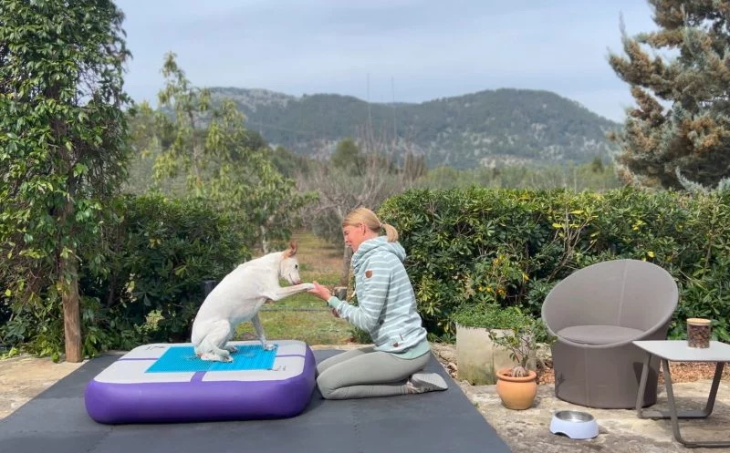 Diese zwei Übungen helfen deinem Hund bei Ellbogendysplasie