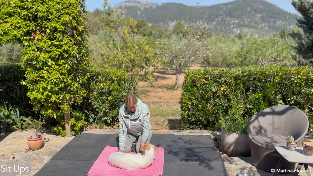 martina flocken - doggy fitness - hundefitness - sit ups - martina flocken - doggy fitness - hundefitness - Bandscheibenvorfall beim Hund - 2 aktive Übungen