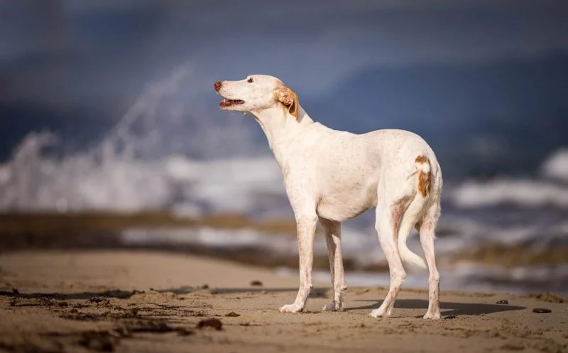 Fit im Urlaub – mit 5 Minuten Bewegungstraining zu mehr Fitness – Teil 2