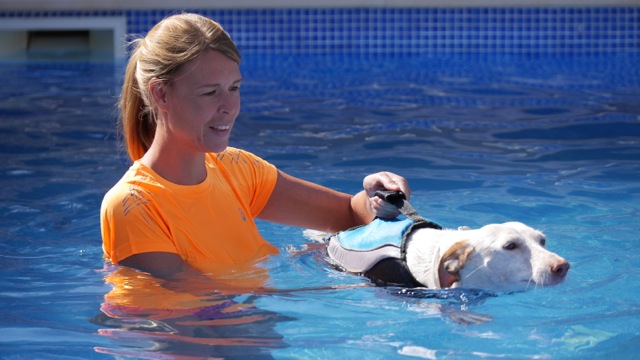 Schwimmweste – Sicherheit und Spaß im Wasser – Produkttest: Alcott Mariner