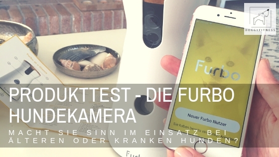 Anzeige: Die Furbo Hundekamera – mehr Sicherheit für Hund und Halter, wenn der Vierbeiner alt und krank ist?!