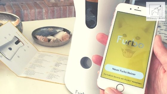 furbo doggy fitness mit handy