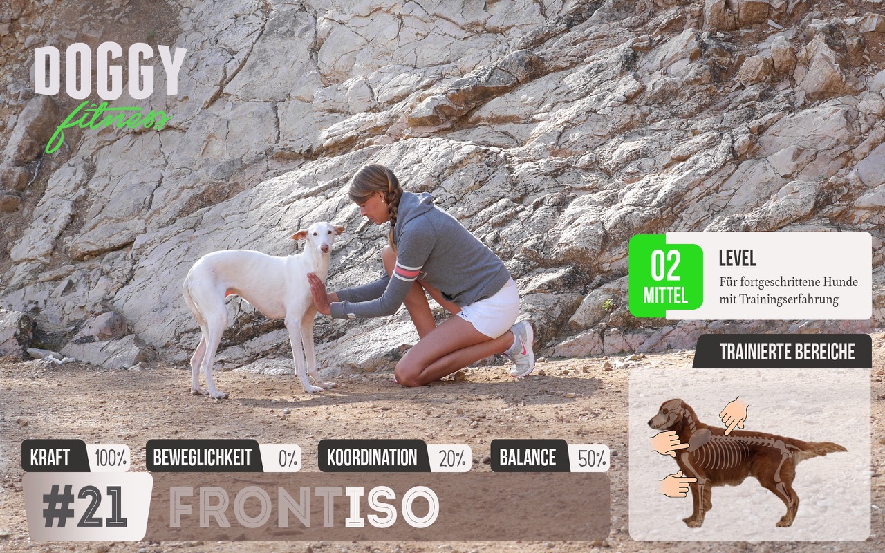 Isometrisches Training für die Vorderläufe & Schultern