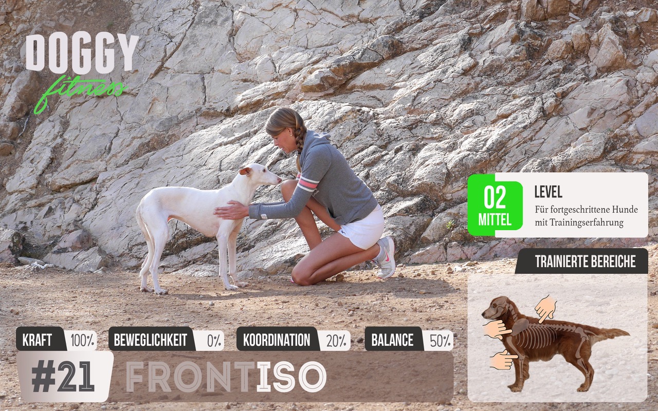 Isometrisches Training für die Vorderläufe & Schultern