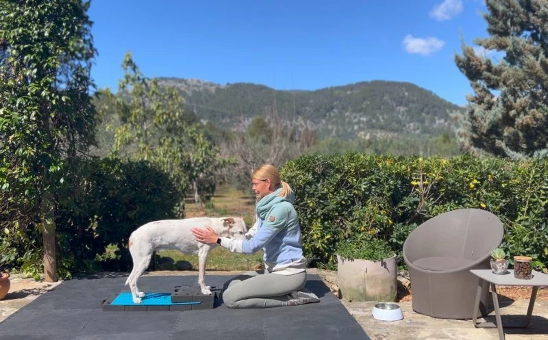 Muskeltraining Hund: Isometrisches Training der Vorderläufe & Schultern