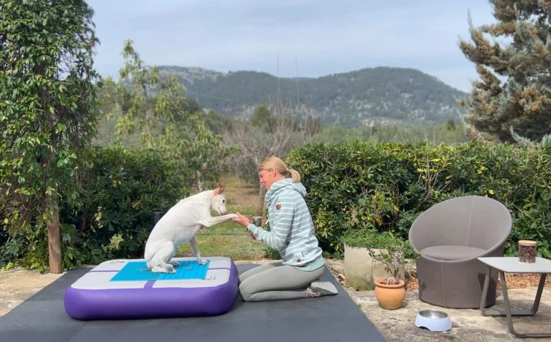 Fitnesstraining beim Hund – warum Balancepads & Co. nicht zum Spaß eingesetzt werden sollten