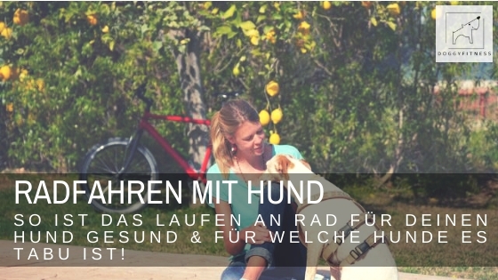 Radfahren mit deinem Hund – Gesundheit und Spaß