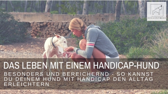 Mein Leben mit einem Handicap-Hund – besonders und bereichernd