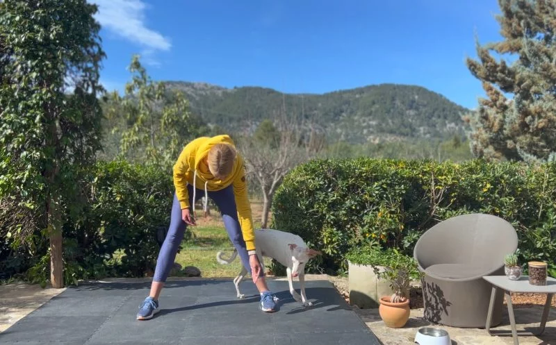 Warum Leistungsdruck im Bewegungs- & Fitnesstraining beim Hund fehl am Platze ist