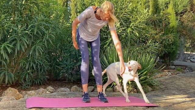 martina - flocken doggy fitness - rückentraining für hunde - hundephysiotherapie - hundefitness - Umrunden B