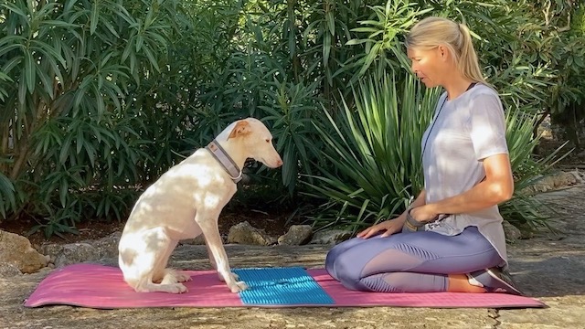 martina - flocken doggy fitness - rückentraining für hunde - hundephysiotherapie - hundefitness - S4 Sit pretty b