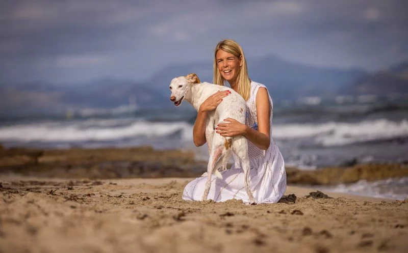 Slow down – Aktivitäten mit dem Hundesenior – wenn sich Interessen und Bedürfnisse verändern