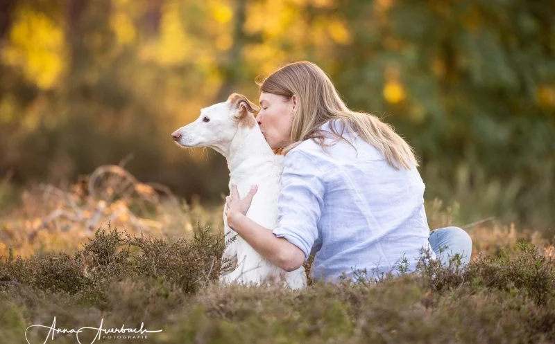 Veränderungen des Bewegungsapparates beim Hund im Alter: Eine ganzheitliche Betrachtung