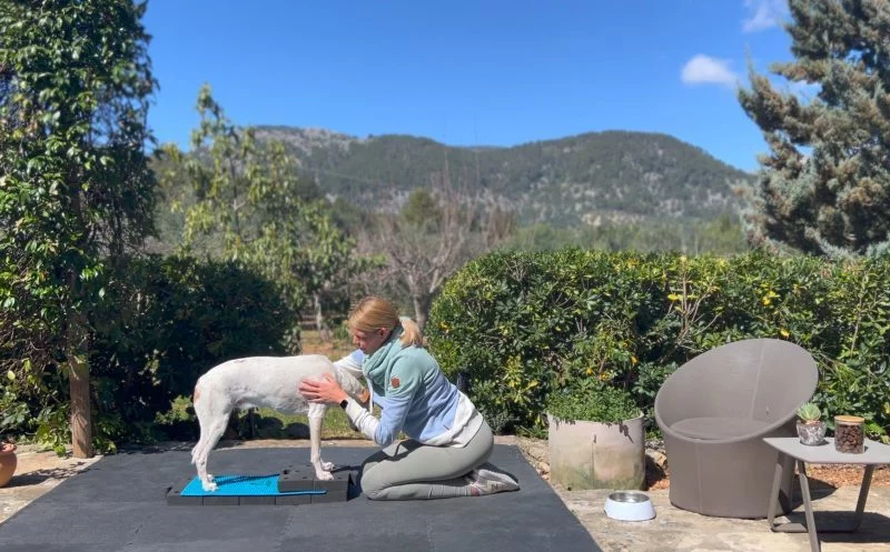 Isometrisches Training zur Stressreduktion – stressige Situationen meistern