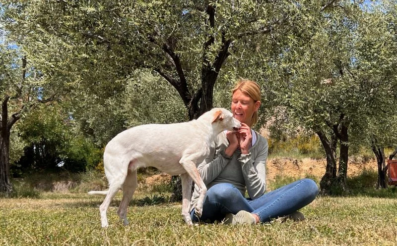 Das Wobbler Syndrom – Diagnose, Behandlungsmöglichkeiten, Prognose & was du als Halter beachten solltest