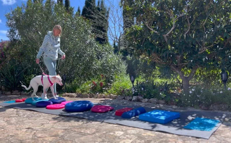 Der richtige Untergrund im Bewegungs- und Fitnesstraining für Hunde – warum er so wichtig ist!