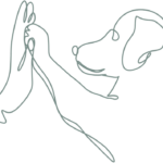 HüftFIT,Hilfe Hüftprobleme