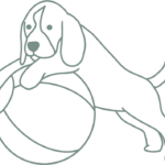 HüftFIT,Hilfe Hüftprobleme