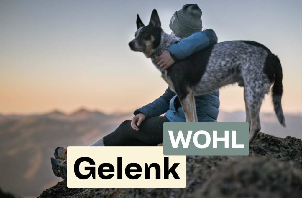 Doggy Fitness,Hundephysiotherapie,Hundefitnesstraining,Online-Kurse,Hundegesundheit,Hundephysiotherapeutin,Hundemassage,Gelenkerkrankungen,Seniorhunde,Hundefitness App,Martina Flocken,Phytotherapie,Mykotherapie,Bewegungsapparat,Hundetraining