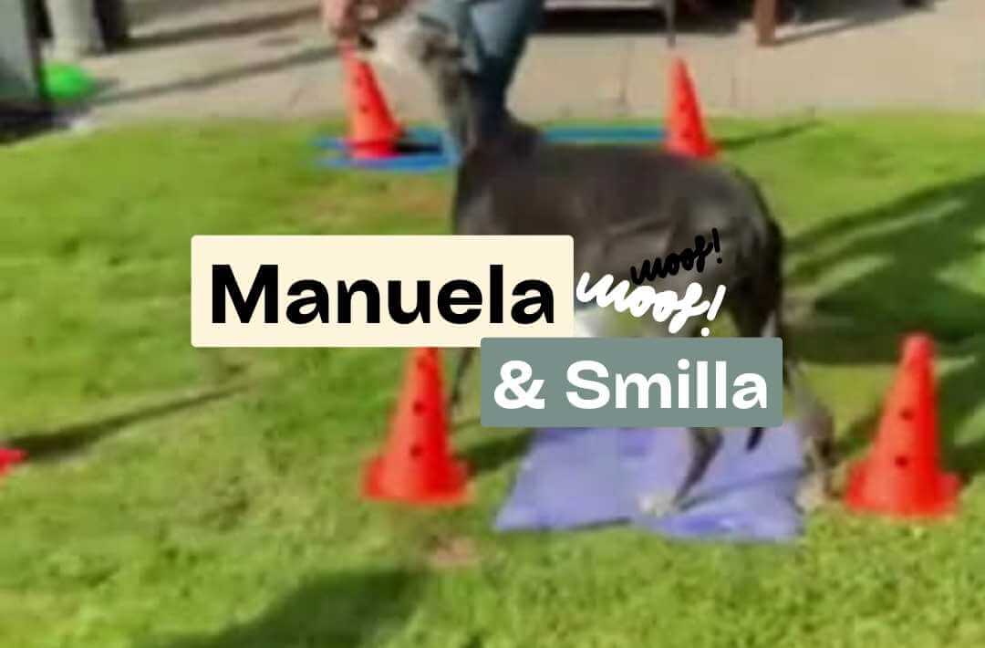 Doggy Fitness,Hundephysiotherapie,Hundefitnesstraining,Online-Kurse,Hundegesundheit,Hundephysiotherapeutin,Hundemassage,Gelenkerkrankungen,Seniorhunde,Hundefitness App,Martina Flocken,Phytotherapie,Mykotherapie,Bewegungsapparat,Hundetraining