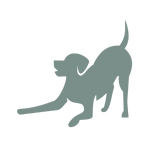 HüftFIT,Hilfe Hüftprobleme