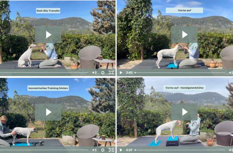 HüftFIT,Hilfe Hüftprobleme