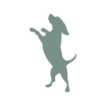 HüftFIT,Hilfe Hüftprobleme