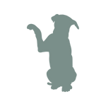 HüftFIT,Hilfe Hüftprobleme