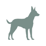 HüftFIT,Hilfe Hüftprobleme