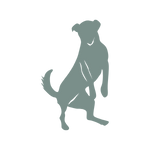 HüftFIT,Hilfe Hüftprobleme