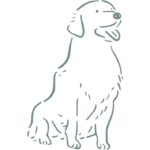 HüftFIT,Hilfe Hüftprobleme