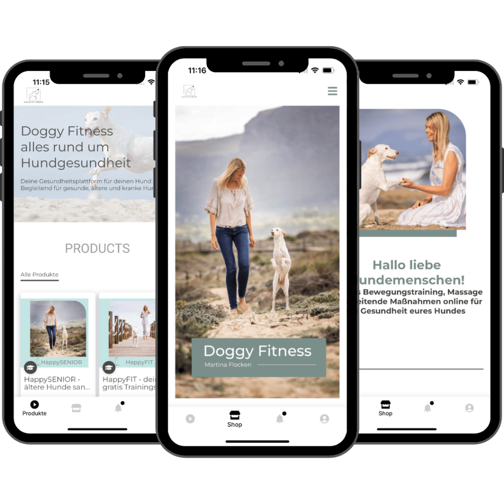 Doggy Fitness,Hundephysiotherapie,Hundefitnesstraining,Online-Kurse,Hundegesundheit,Hundephysiotherapeutin,Hundemassage,Gelenkerkrankungen,Seniorhunde,Hundefitness App,Martina Flocken,Phytotherapie,Mykotherapie,Bewegungsapparat,Hundetraining