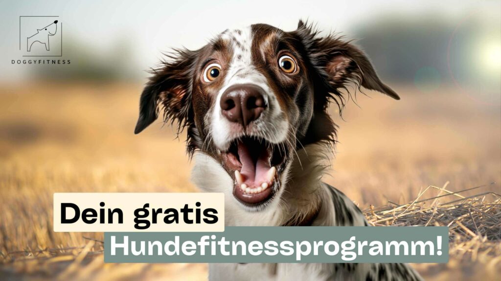 gratis-hundefitness-happy-fit