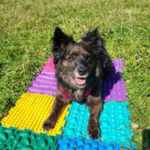 Referenz diverse Kurse