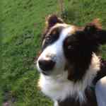 Juli mit Sheldi Referenz