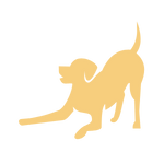 KomplettFIT,Online Kurs,Hundegesundheit