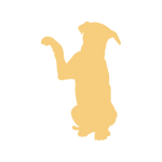 KomplettFIT,Online Kurs,Hundegesundheit