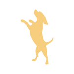 KomplettFIT,Online Kurs,Hundegesundheit