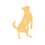 KomplettFIT,Online Kurs,Hundegesundheit