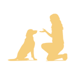 KomplettFIT,Online Kurs,Hundegesundheit