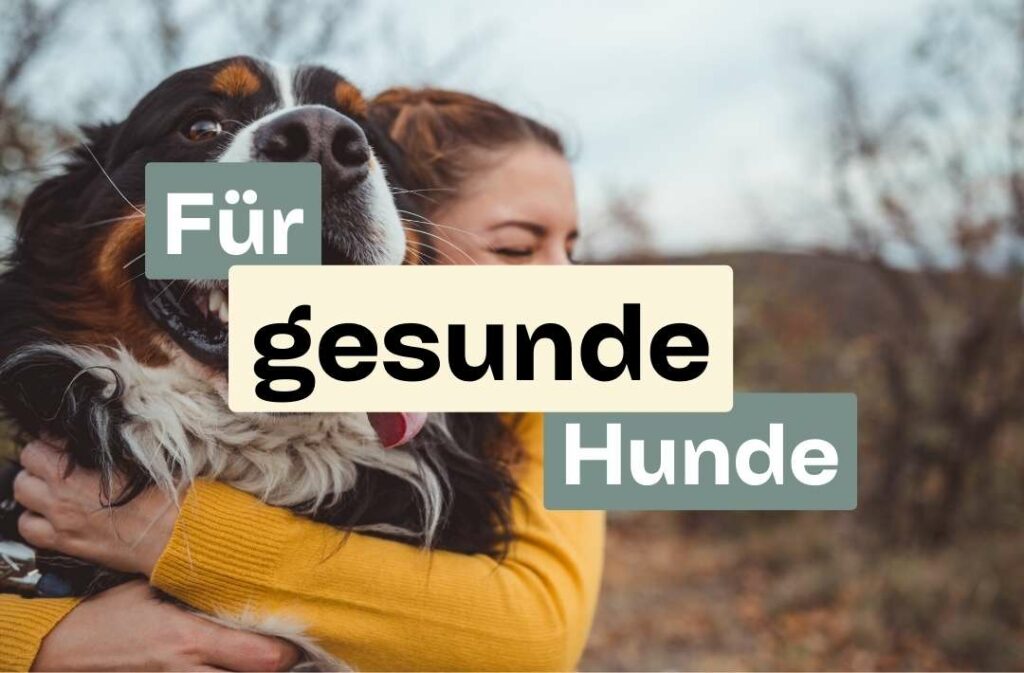 Doggy Fitness,Hundephysiotherapie,Hundefitnesstraining,Online-Kurse,Hundegesundheit,Hundephysiotherapeutin,Hundemassage,Gelenkerkrankungen,Seniorhunde,Hundefitness App,Martina Flocken,Phytotherapie,Mykotherapie,Bewegungsapparat,Hundetraining