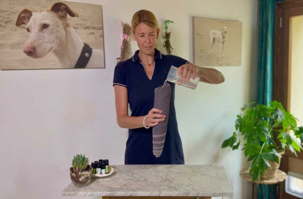 SeniorGLÜCK,Online Kurs,Gesundheit Seniorhund,Fitness Seniorhund