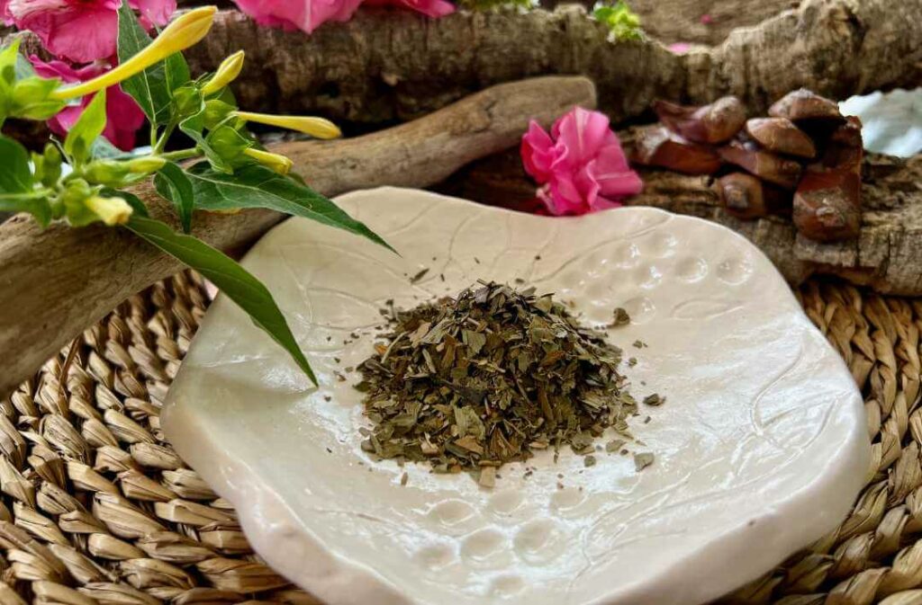 Hundephysiotherapie,Hundefitness,Hundemassage,Phytotherapie,Mykotherapie,Bewegungsapparat,Seniorhunde,Naturheilkunde für Hunde,Hundegesundheit,Online-Kurse,Buchautorin,Vitalpilze für Hunde,Kräuter für Hunde,Hundephysiotherapie-Ausbildung,hundephysiotherapeutin,über mich