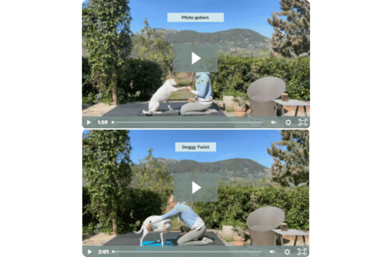 videoanleitung-happy-senior