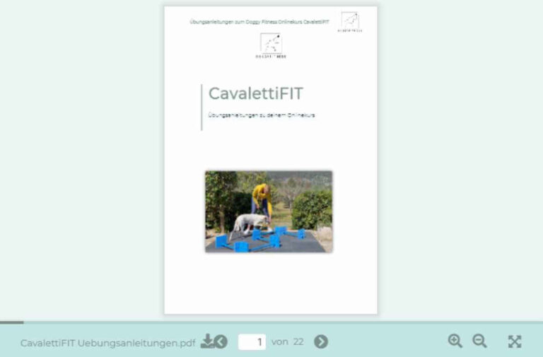 CavalettiFIT,Online Kurs,Online Kurse f&uuml;r Hunde,Ganzk&ouml;rpertraining