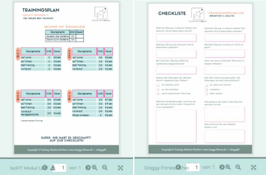 IsoFIT,Online Kurs,Körpergefühl