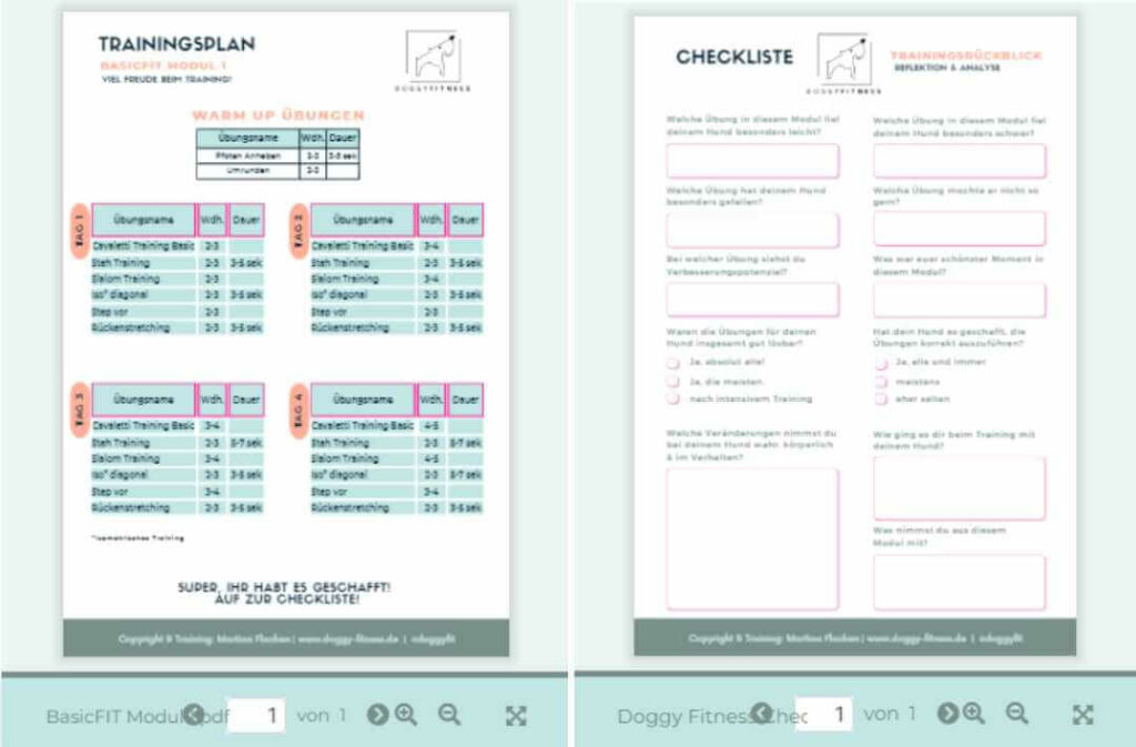onlinekurs hundefitness praevention,Fitness- und Bewegungstraining,Hundefitness,Bessere Gesundheit,Hundegesundheit,Basisfitness deines Hundes,BasicFit