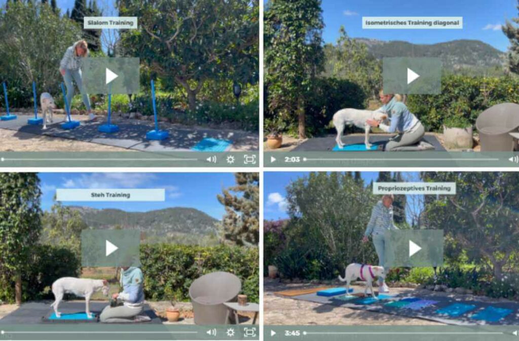 SchnellFIT,Schnellkurs,Online Kurs,Schnupperkurs,Einsteiger