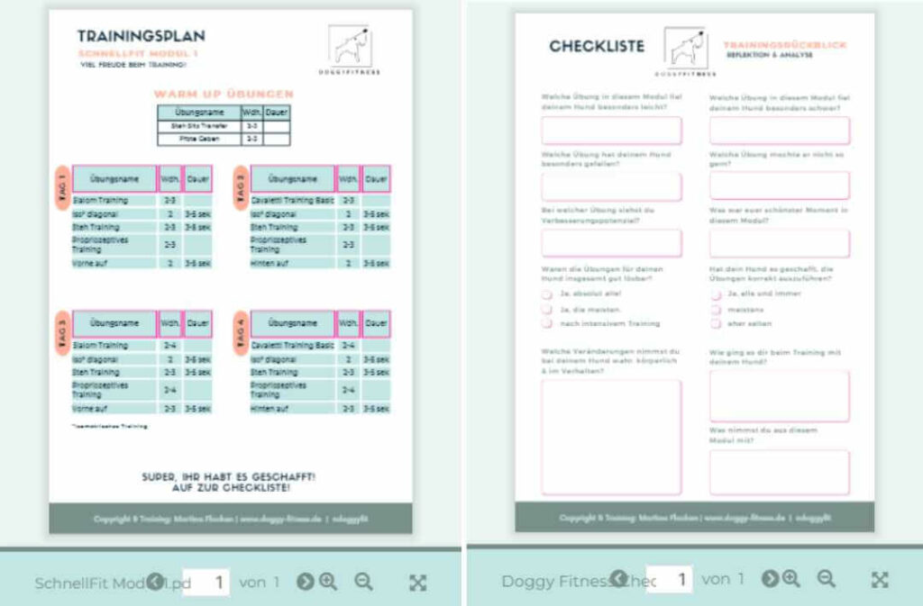 SchnellFIT,Schnellkurs,Online Kurs,Schnupperkurs,Einsteiger